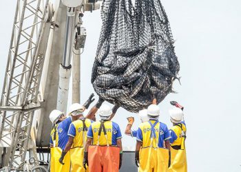 Revisarán norma de desembarque del atún