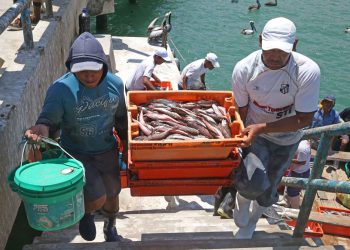 Produce: Fondepes invertirá S/ 62 millones en 13 puertos artesanales en 2018