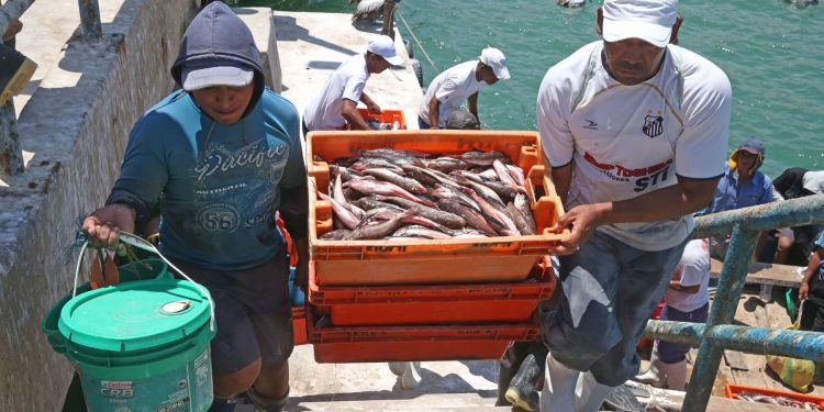 Produce: Fondepes invertirá S/ 62 millones en 13 puertos artesanales en 2018