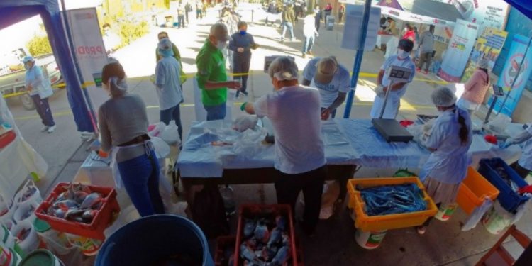 Vraem: piscicultores promovidos por Devida venden más de 25 toneladas de carne de pescado