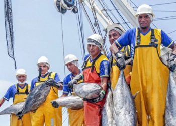 Perú podría contar con menos atún para pescar: CIAT definirá nuevo modelo de cuotas