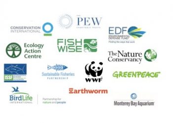 ONG ambientalistas líderes se unen para exigir la cobertura de observadores del 100 % respecto a las embarcaciones de pesca industrial del atún