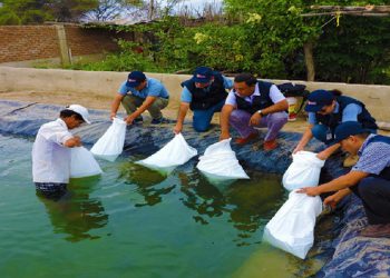 Analizarán problemática de la actividad acuícola en Lambayeque