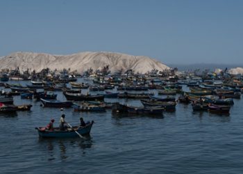 Pesca y conservación marina, un mar de retos al 2019