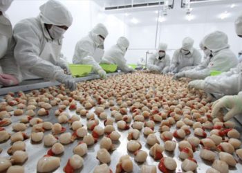 Empresas: Pesquera Diamante patrocina expedición científica en el mar peruano