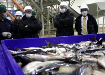 China Fishery: Fijan precio mínimo para venta de activos en US$ 1,200 millones