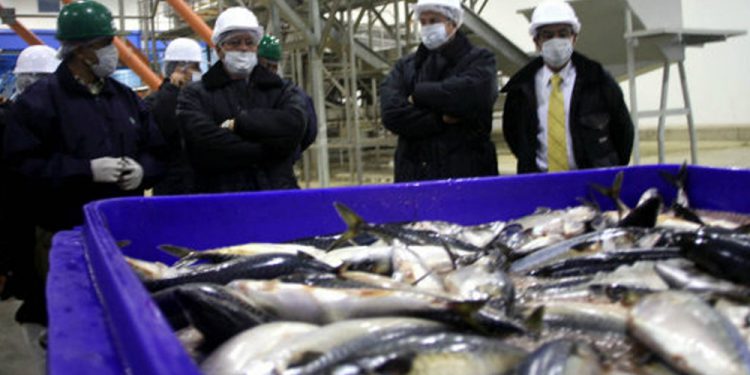 China Fishery: Fijan precio mínimo para venta de activos en US$ 1,200 millones