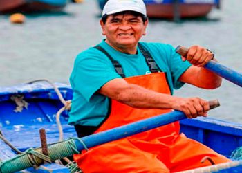 El 60% de las embarcaciones son informales en el sector pesca