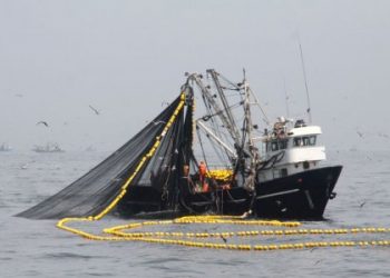 SNP pide a Tribunal Constitucional frenar permisos de pesca vía mandato judicial