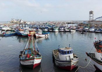 Después de siete años vuelven a pescar jurel en el mar de Talara