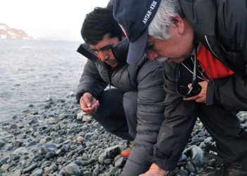 ITP: Investigaciones en la Antártida permitirán soluciones en la industria farmacéutica, pesquera y sector acuícola