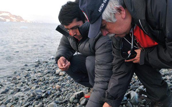 ITP: Investigaciones en la Antártida permitirán soluciones en la industria farmacéutica, pesquera y sector acuícola