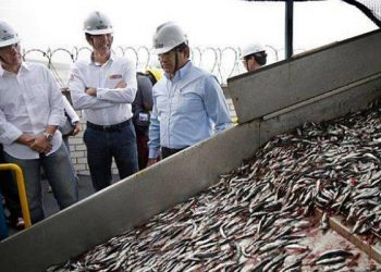 Sector pesca: ¿Qué expectativas hay para el 2018?