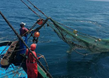 Tumbes: intervienen arrastreras que pescaban en zona no autorizada