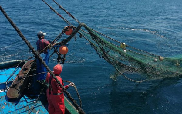 Tumbes: intervienen arrastreras que pescaban en zona no autorizada