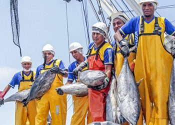 Produce responde a conserveras por abastecimiento de atún