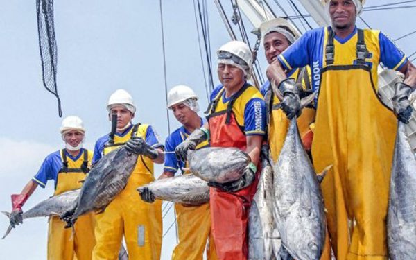 Produce responde a conserveras por abastecimiento de atún
