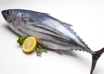 UNALM y Ministerio de Salud difunden el potencial del pescado
