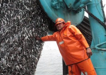 Pesca: desembarques habrían crecido 70% durante el 2018
