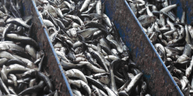 Aprueban Plan Estratégico Institucional 2019-2022 del Fondo Nacional de Desarrollo Pesquero