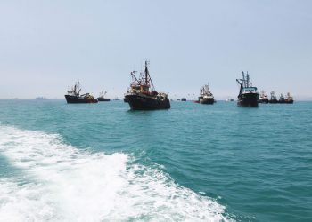 Suspenden pesca de anchoveta y anchoveta blanca en zona del litoral