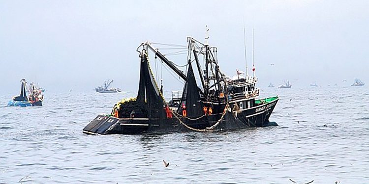 Pesca industrial podría realizarse dentro de las cinco millas en el sur