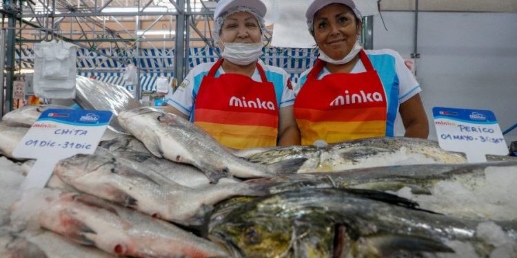 SNP saluda lanzamiento de aplicación MarPez sobre vedas y tallas mínimas