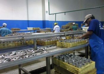 SNI elabora proyecto para controlar contaminantes en exportación pesquera