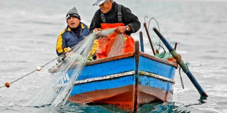 CABO BLANCO: PESCADORES SERÁN CAPACITADOS CON EQUIPOS DE ULTIMA GENERACIÓN