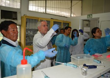 MINAGRI realiza proyecto sobre la oca para afirmar su conservación y contribución a la seguridad alimentaria