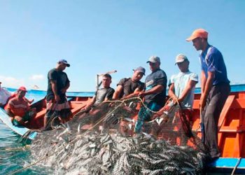 Piura: pescadores no admitirán que pandemia los quiebre y desespere