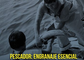 REVISTA PESCA & MEDIO AMBIENTE Nº 103