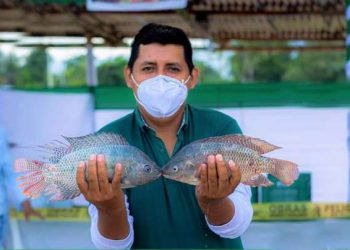 Piscicultores de Tocache asistidos por DEVIDA vendieron 800 kilos de pescado en mercado itinerante