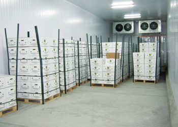 From Cold, empresa especialista en refrigeración industrial  y comercial