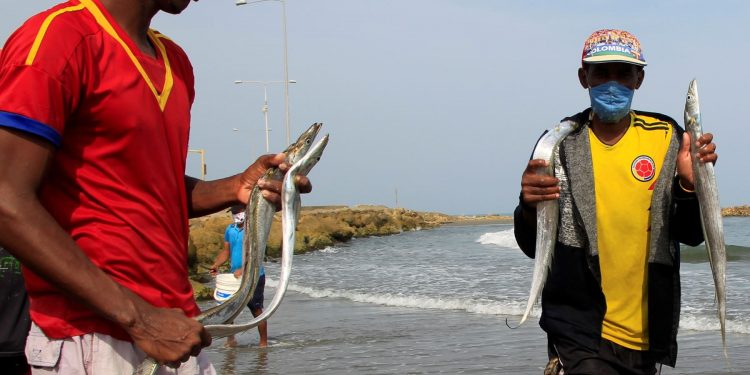 Pescadores colombianos temen morir primero de hambre que de COVID-19