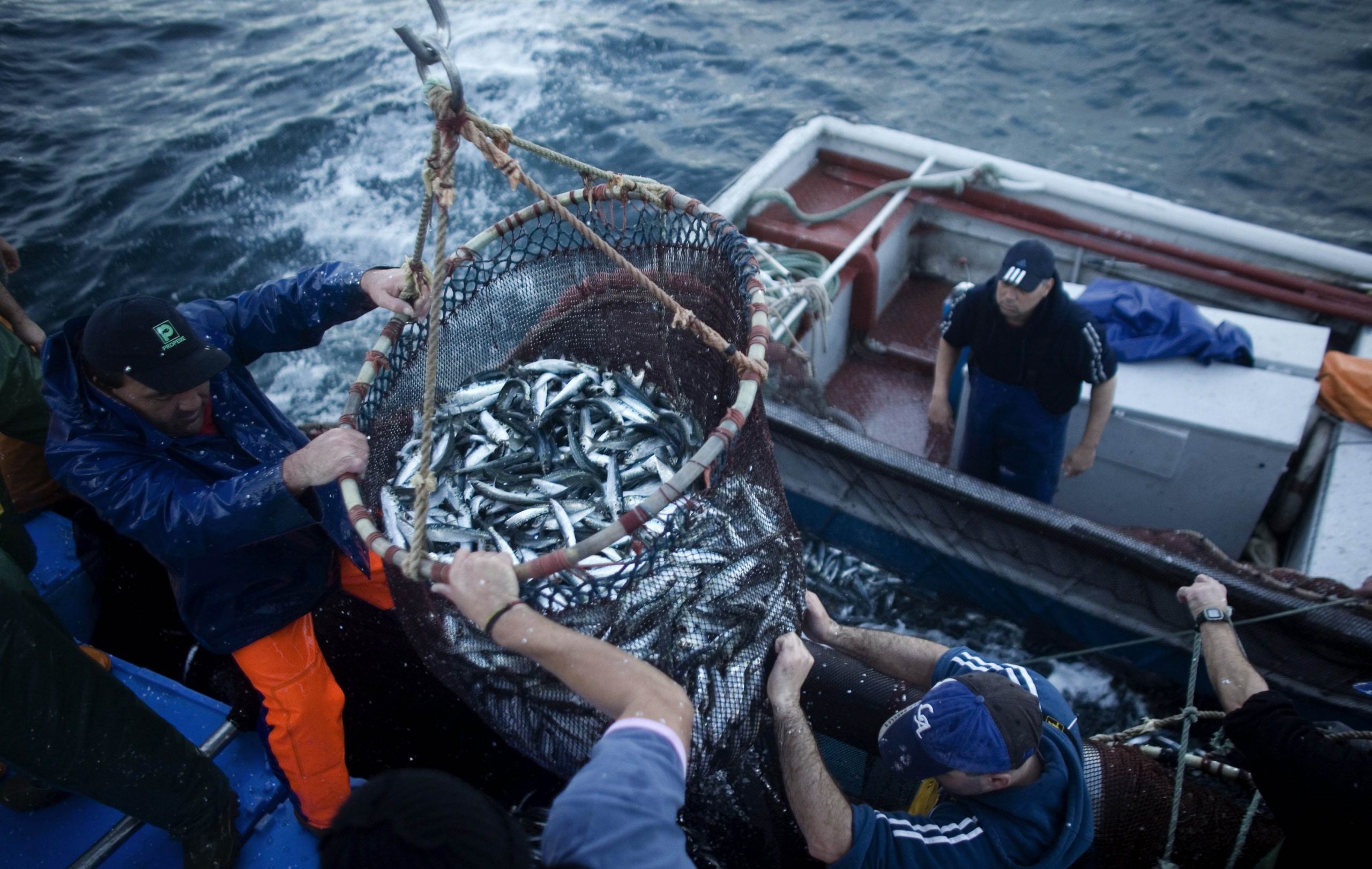 Промыслы в океане. Добыча рыбы. Промысел рыбы. Рыболовство в мировом океане. Рыболовство в тихом океане.