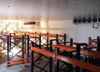 From Cold, empresa especialista en refrigeración industrial  y comercial