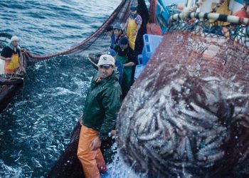 BOMBAS CENTRÍFUGAS, PIEZAS VITALES DE LA ACTIVIDAD PESQUERA