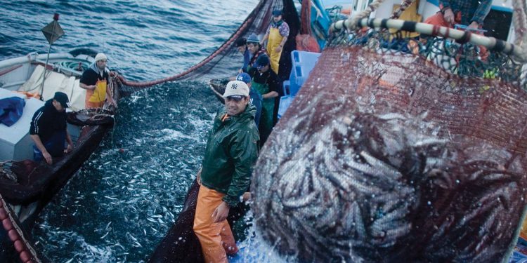 BOMBAS CENTRÍFUGAS, PIEZAS VITALES DE LA ACTIVIDAD PESQUERA