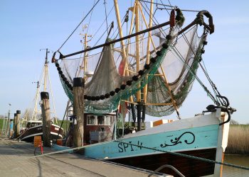 Empresas deberán contar con un protocolo antes de empezar a operar