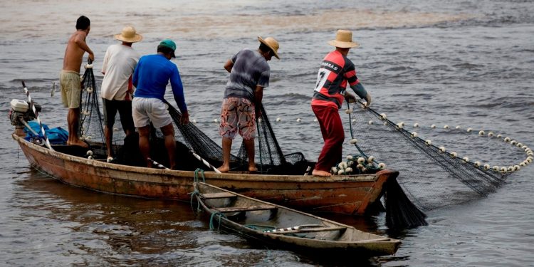 Áncash: pescadores en riesgo por falta de medidas contra contagio de COVID-19