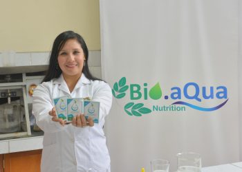Con semillas de moringa  purifican agua a bajo costo