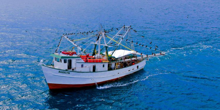 Conoce todo sobre el protocolo y los criterios técnicos para que se reanude la actividad de la pesca industrial