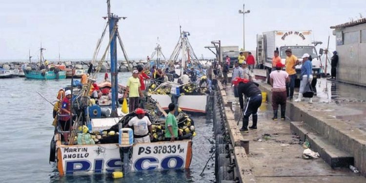 Ica: Unos 2 mil pescadores de San Andrés afectados por ampliación de suspensión de actividades