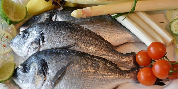 Si comemos más pescado que nunca, debemos cuidar nuestros océanos como nunca