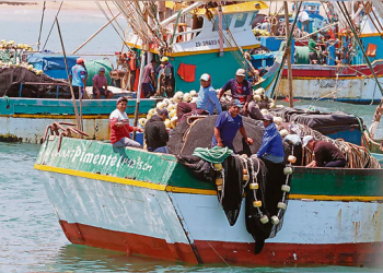 Lambayeque: cerca de 3,000 pescadores golpeados por la COVID- 19 y sin bono familiar