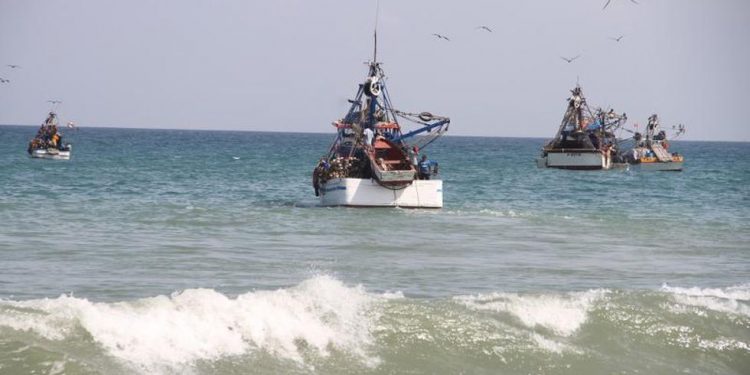 Imarpe llevará a cabo investigación en pesca para determinar disponibilidad de la merluza