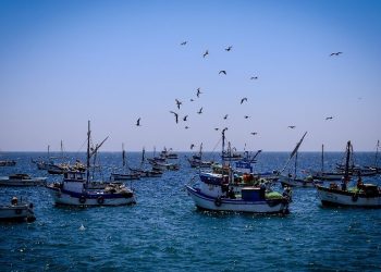 SNP y TASA donaron casi un millar de pruebas rápidas para pescadores artesanales