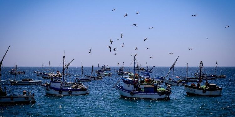 SNP y TASA donaron casi un millar de pruebas rápidas para pescadores artesanales