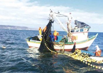 A pesar del covid-19: sector pesquero fortalecerá la economía peruana en el 2020